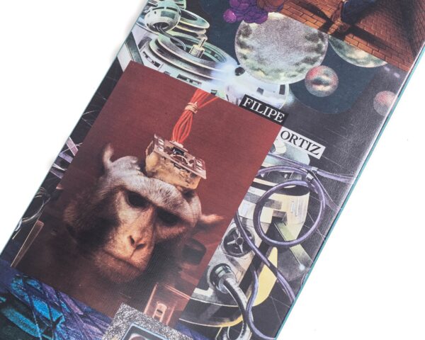 Shape Tropicalients Felipe Ortiz