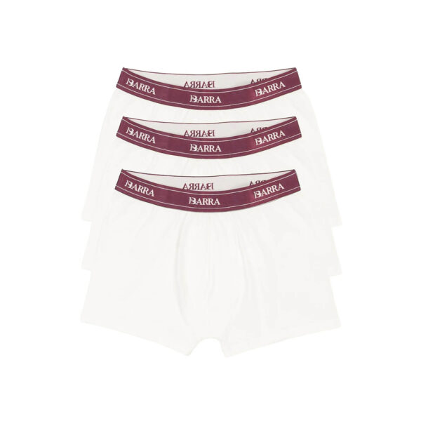 Pack Cueca Barra Crew Logo Off White - Elástico Bordô