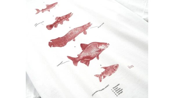 Camiseta Ous Peixes Branco